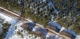 Scania increased its marketshare in sustainable transport in 2016