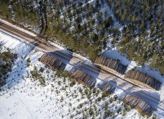 Scania increased its marketshare in sustainable transport in 2016