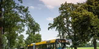 Solaris is in Dutch bus market